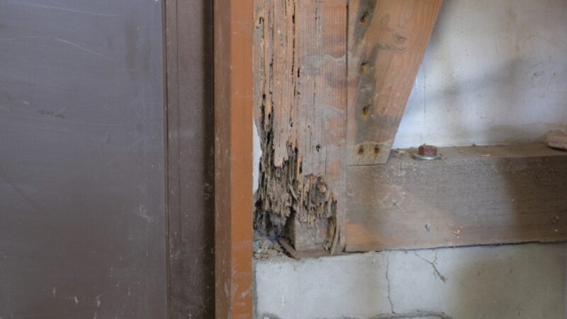 家の状態が悪いため、売れないリスクが高まった住宅